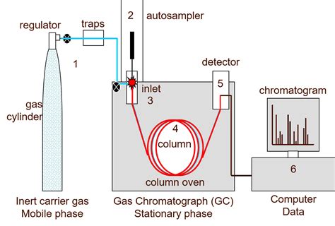 gas chromatography for gas analysis|explain how gas chromatography works.